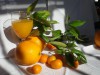 Las naranjas dulces mas deliciosas de Valencia online